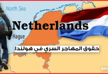 حقوق المهاجر السري في هولندا .. تعرف على حقوقك في هولندا بغض النظر عن وضعيتك القانونية