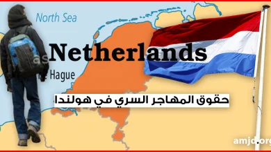 حقوق المهاجر السري في هولندا .. تعرف على حقوقك في هولندا بغض النظر عن وضعيتك القانونية