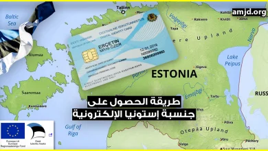 طريقة الحصول على بطاقة الإقامة الإلكترونية في إستونيا عن طريق الأنترنت ومن بلدك