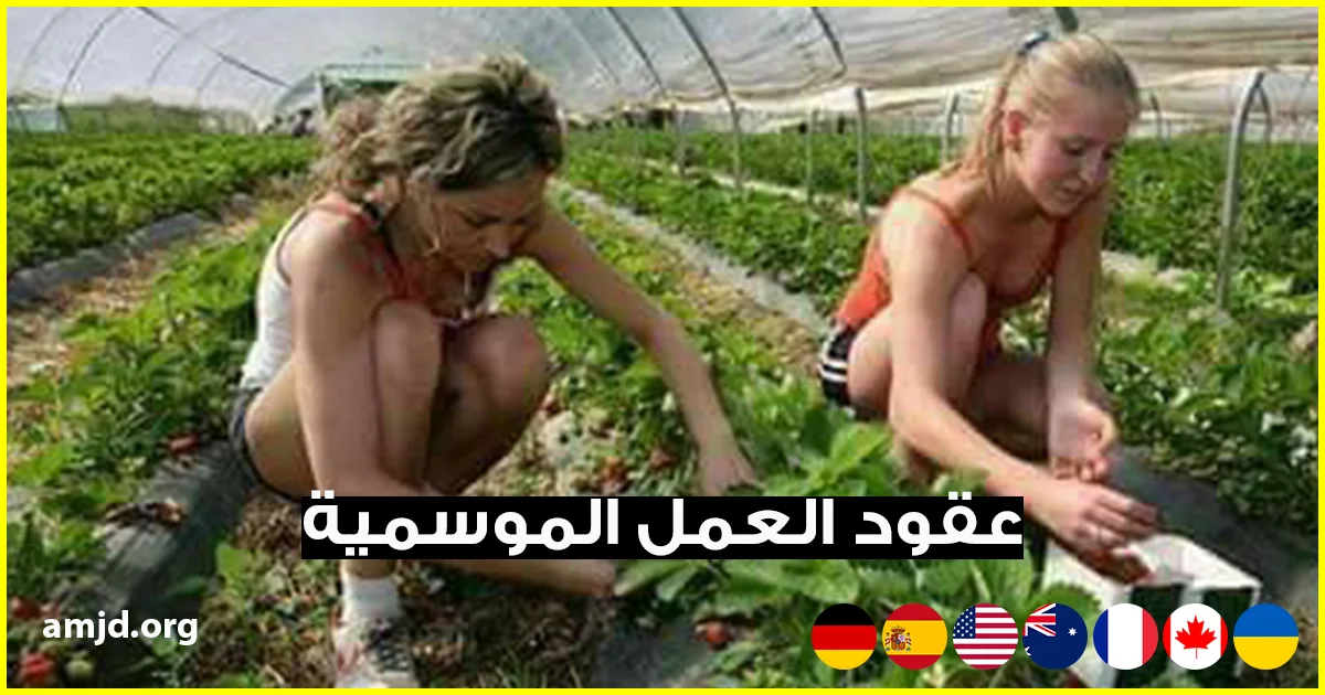 عقود العمل الموسمية