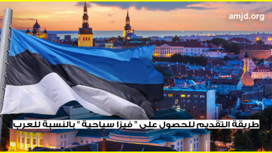 السفر إلى إستونيا 2018 .. معلومات هامة عن طريقة التقديم للحصول على " فيزا سياحية " بالنسبة للعرب