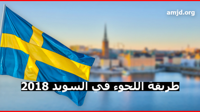 اللجوء في السويد 2023 .. هل تعرف مالذي يجب عليك فعله وقوله إذا أردت أن تصبح لاجئا في السويد ؟