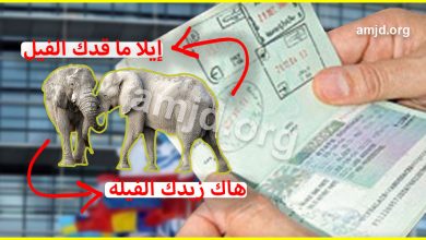 بحلول رمضان المفوضية الأوروبية تقترح القيام بتعديلات على فيزا شنغن (الى ماقدك الفيل نزيدك الفيلة)