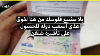 تعرف على أصعب دولة للحصول على تأشيرة شنغن تجنبا لإضاعة الوقت والمال في طلب تأشيرتها