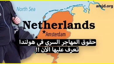 حقوق الحراقة في هولندا .. تعرف على الحقوق التي يتمتع بها المهاجر في هولندا واخا يكون مهاجر سري