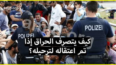 كيف يتصرف المهاجر السري أو طالب اللجوء في النمسا إذا تم اعتقاله لترحيله؟