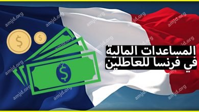 المساعدات المالية في فرنسا .. تعرف على المساعدات المقدمة لكل عاطل عن العمل (RSA)