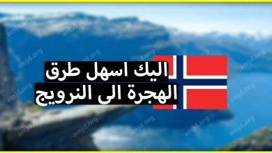 تعرف على أفضل وأسهل 4 طرق للهجرة الى النرويج