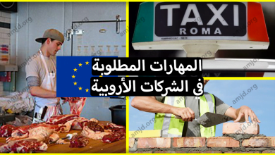 العمل في اوروبا 2019 .. ماهي المهارات التي تبحث عنها الشركات الأوروبية في المهاجر؟