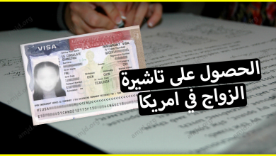 اجراءات الحصول على تاشيرة الزواج في امريكا بالنسبة للمواطنين العرب