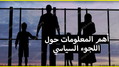 اللجوء السياسي .. متى يحق للشخص طلب اللجوء؟ وماهي أبرز شروطه؟