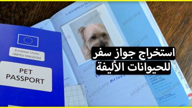 كيفية استخراج جواز سفر للحيوانات الأليفة التي يرغب أصحابها في اصطحابها معهم في السفر