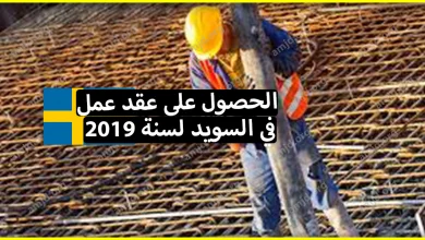 كيفية الحصول على عقد عمل في السويد لسنة 2024 - 2022 .. معلومات شاملة ستساعدك في تحقيق حلم الهجرة