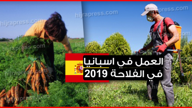 العمل في اسبانيا في الفلاحة لسنة 2024 - 2022