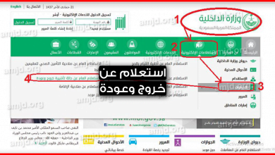 استعلام عن خروج وعودة