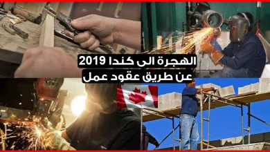 عاجل .. الهجرة الى كندا 2024 عن طريق عقود عمل مع شركات كندية للحرفيين والعمال المهرة