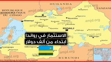 الاستثمار-في-رواندا-..فرص-استثمارية-خيالية-ابتداء-من-ألف-دولار-فقط-مع-اعفاءات-ضريبية-لـ-7-سنوات