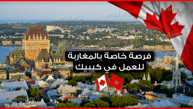 الهجرة-الى-كندا-2019-للمغاربة-..-كيبيك-في-حاجة-الى-عمال-الرعاية-الصحية-في-أقرب-وقت