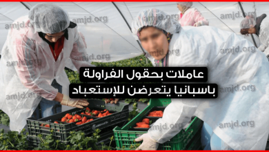 عاملات الفراولة