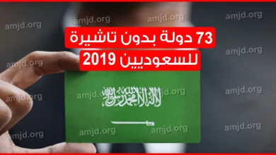 الجواز السعودي بدون تاشيرة