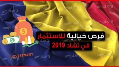 الاستثمار في تشاد