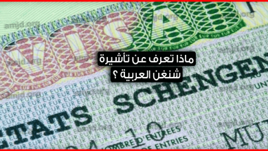 فيزا شنغن العربية .. تعرف على التأشيرة السياحية الموحدة التي ستصدرها السعودية والامارات