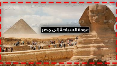 عودة السياحة الى مصر
