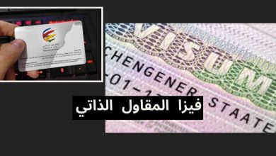 فيزا المقاول الذاتي