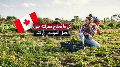 العمل الموسمي في كندا 2023 .. كيف يمكن للعامل العربي الحصول على عقد عمل موسمي في كندا ؟