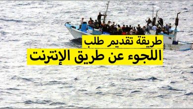 طريقة تقديم طلب اللجوء عن طريق الإنترنت 2023