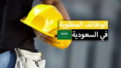 العمل في السعودية 2024 .. تكاليف المعيشة الرواتب والوظائف المطلوبة