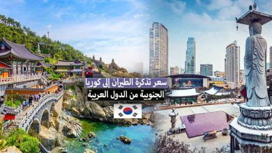 سعر تذكرة الطيران إلى كوريا الجنوبية من الدول العربية + مواعيد الرحلات