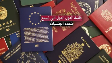 الدول التي تسمح بتعدد الجنسيات في الدول العربية والدول الغربية