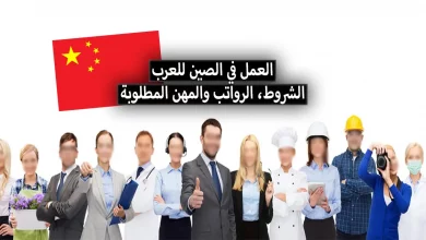العمل في الصين للعرب 2024