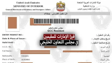 فيزا الإمارات و دبي 2024
