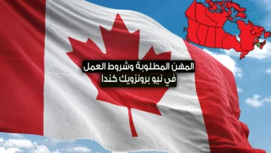 العمل في نيو برونزويك 2024 .. المهن المطلوبة، معرض التوظيف و شروط العمل والهجرة