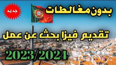 الدول التي تمنح فيزا البحث عن عمل