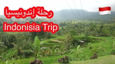 الحياة في إندونيسيا 2024