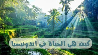 الهجرة و العمل في اندونيسيا 2024