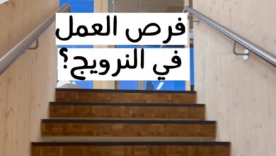 العمل في النرويج 2024