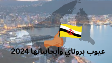 إيجابيات بروناي عيوب بروناي