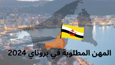 المهن المطلوبة في بروناي