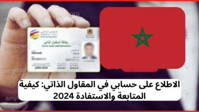 الاطلاع على حسابي في المقاول الذاتي: كيفية المتابعة والاستفادة 2024